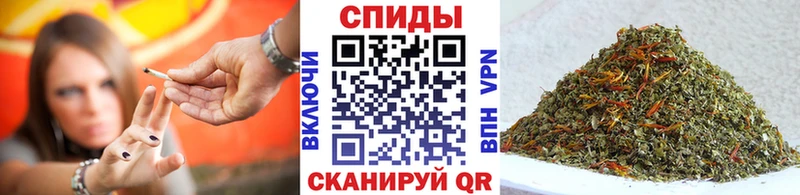 где можно купить блэк спрут рабочий сайт Бутират бутандиол Гусев