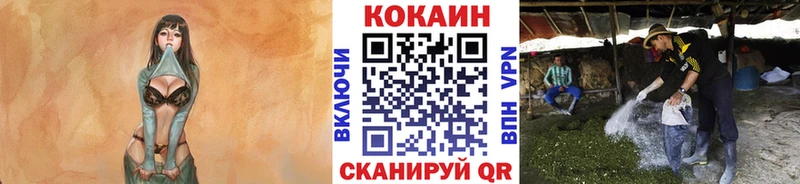 Кокаин FishScale  наркотики  Гусев 