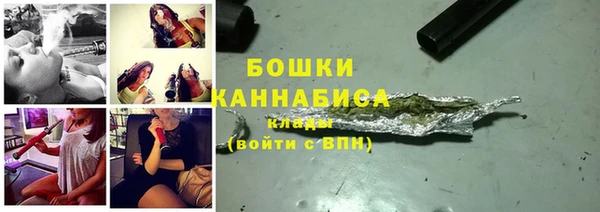 тгк Туринск
