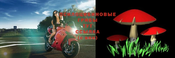 тгк Туринск