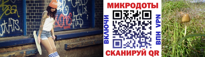 Псилоцибиновые грибы ЛСД shop клад Гусев