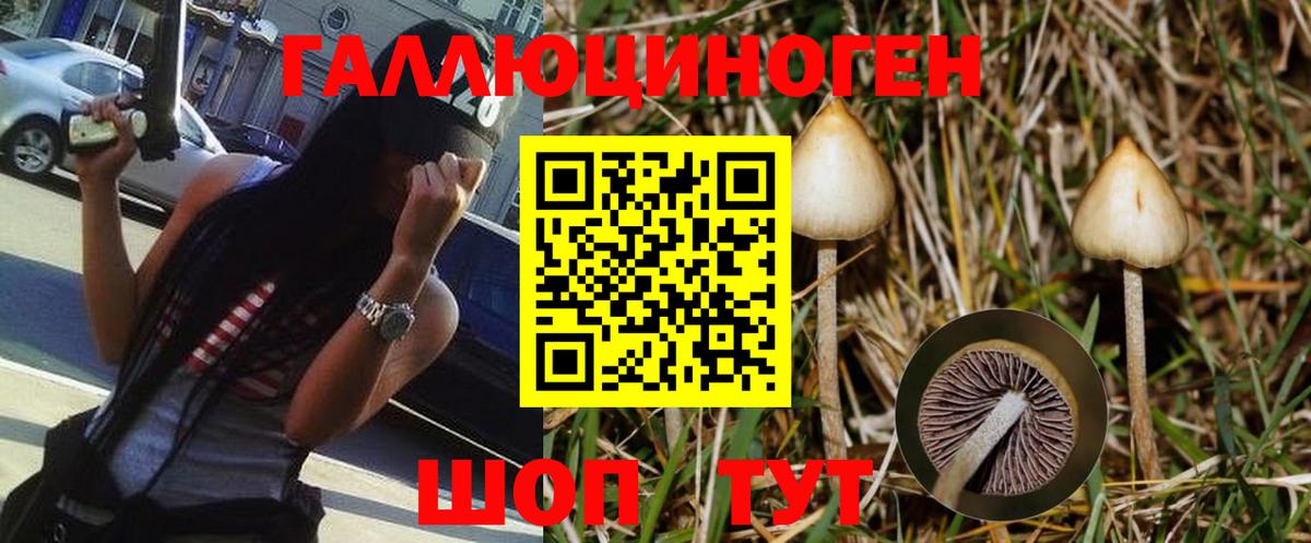 Гусев  Псилоцибиновые грибы MAGIC MUSHROOMS  Вход с VPN  Псилоцибиновые грибы GOLDEN TEACHER 